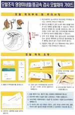 모발채취 가이드 안내장(우편발송)