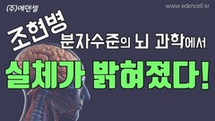 조현병 실체와 원인, 그리고 치유법