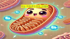 미토콘드리아의 대사조절 기능