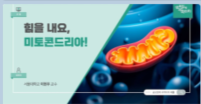 힘내요, 미토콘드리아! 서울대 이현우교수