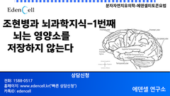 뇌과학지식 1번째: 영양소를 저장하지 않는다