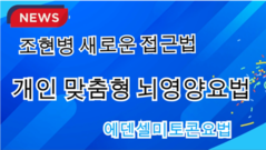 조현병의 새로운 접근법, 개인맞춤형 뇌영양요법 