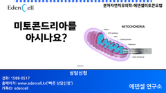 미토콘드리아를 아시나요?