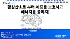 활성산소로부터 뇌세포를 보호하고 에너지를 올리자! - 