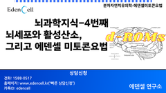 뇌과학지식 4번째: 뇌세포와 활성산소, 그리고 에덴셀 