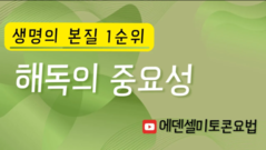 생명의 본질 1순위: 해독의 중요성