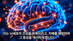 치매, 원인과 예방 그리고 치유!